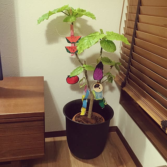 youk2519さんの実例写真