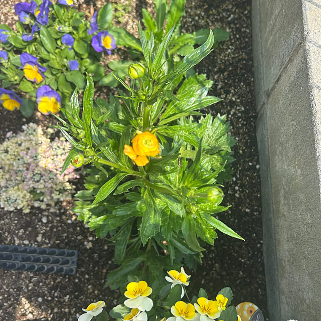 banbinaさんの部屋