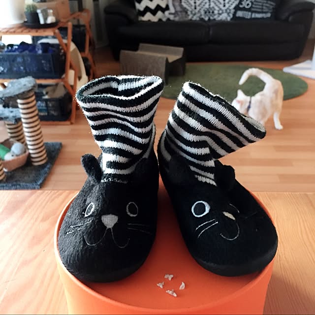 hiyupan88さんの実例写真