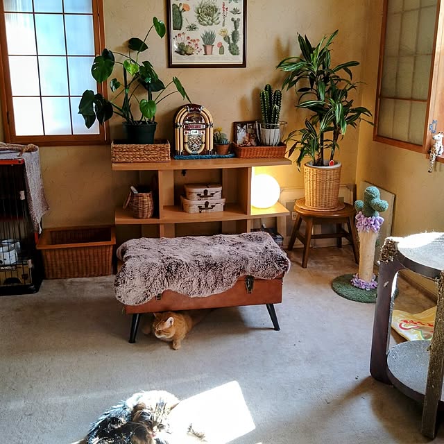 CHIKAさんの部屋