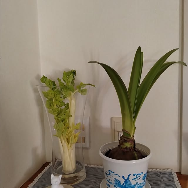 guiさんの実例写真