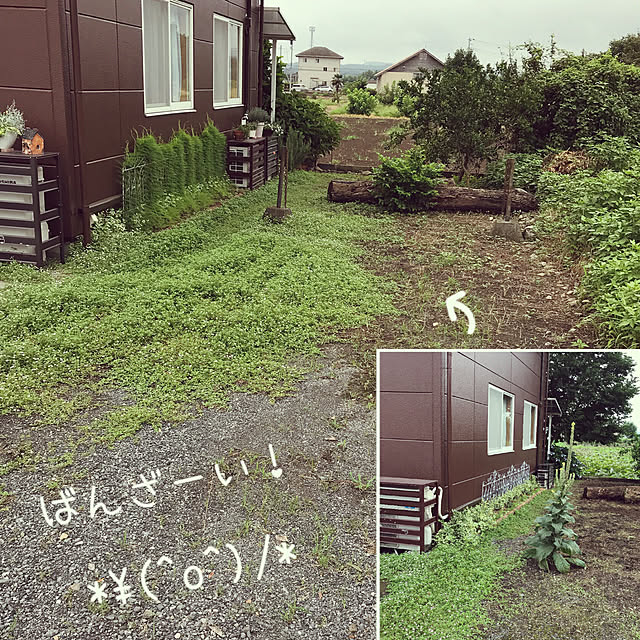 oyoさんの実例写真