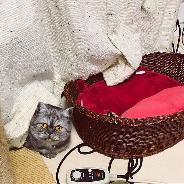 Marinさんの実例写真