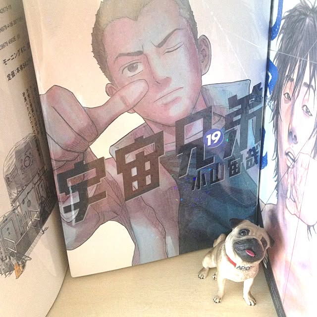 U13さんの実例写真