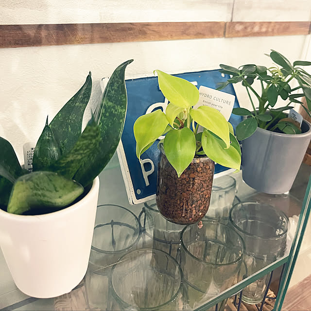 hirariさんの部屋