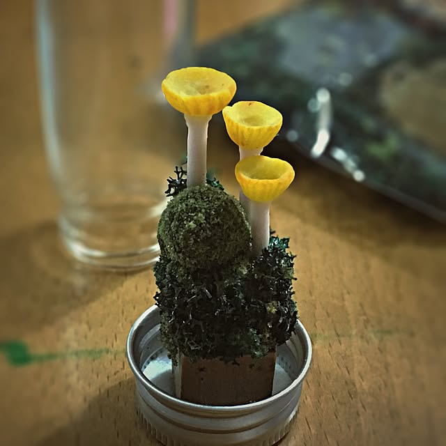 ramuchop3000さんの実例写真