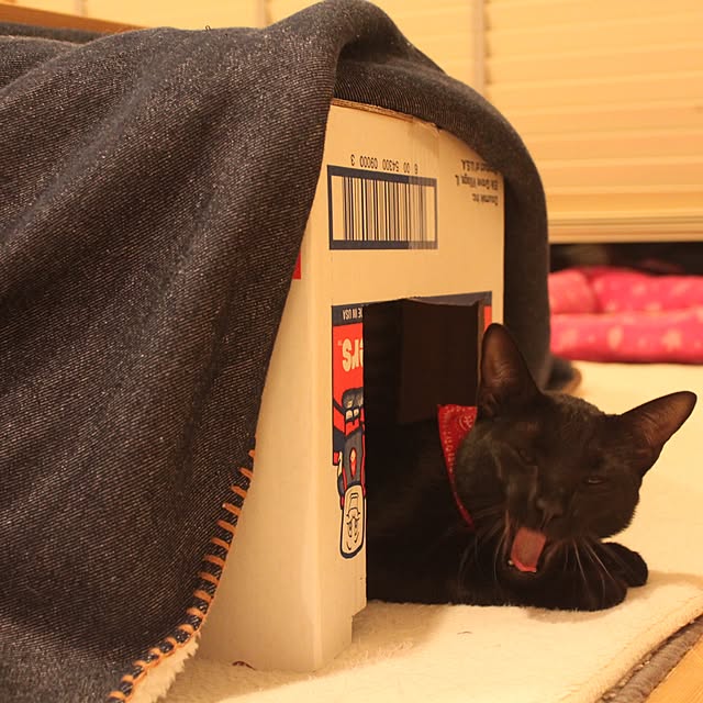 Hirahiraさんの実例写真