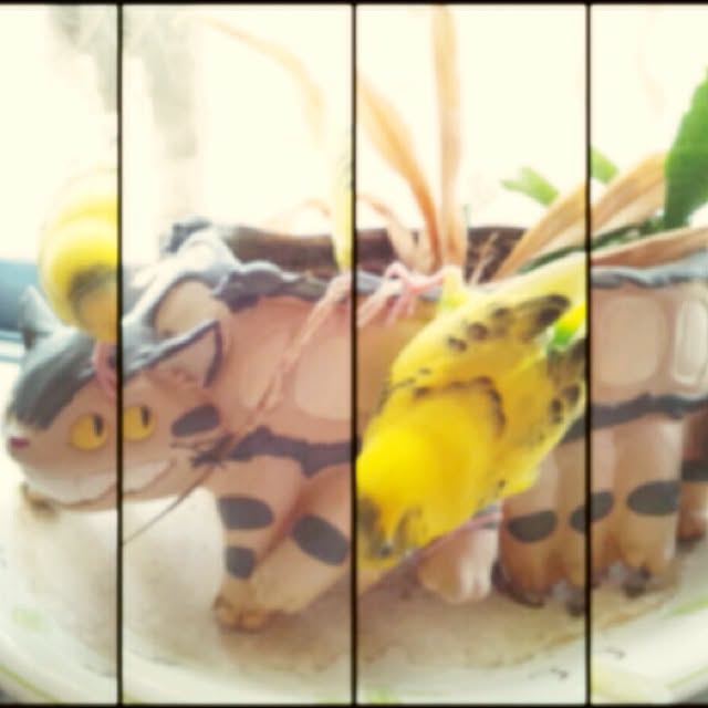 pinkaphro824さんの実例写真