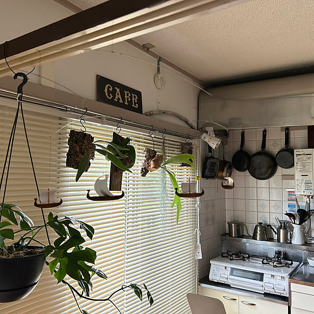 merruさんの部屋