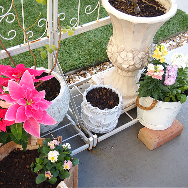 nekotaさんの部屋