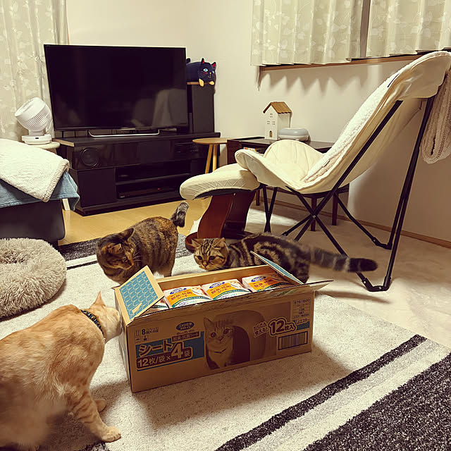 chiiさんの実例写真