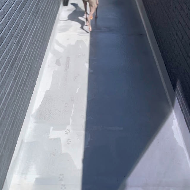 riakanaさんの部屋