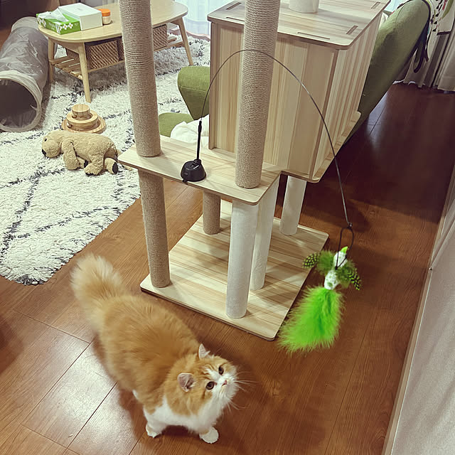 junさんの実例写真