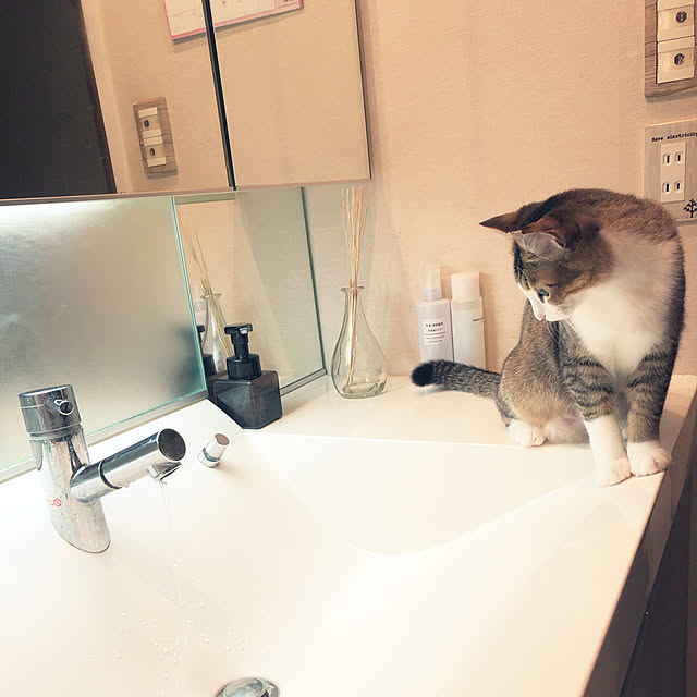 nekomiさんの実例写真