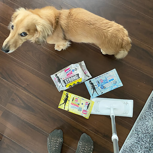 Tomo...NSR...さんの実例写真