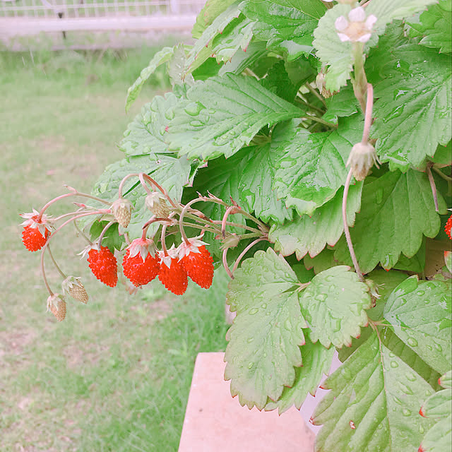 t.m.r.sさんの実例写真