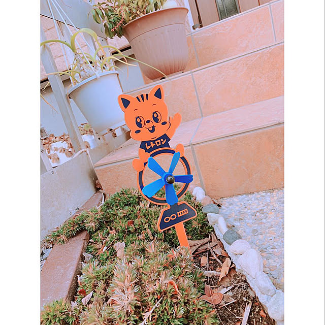 Harukaさんの実例写真