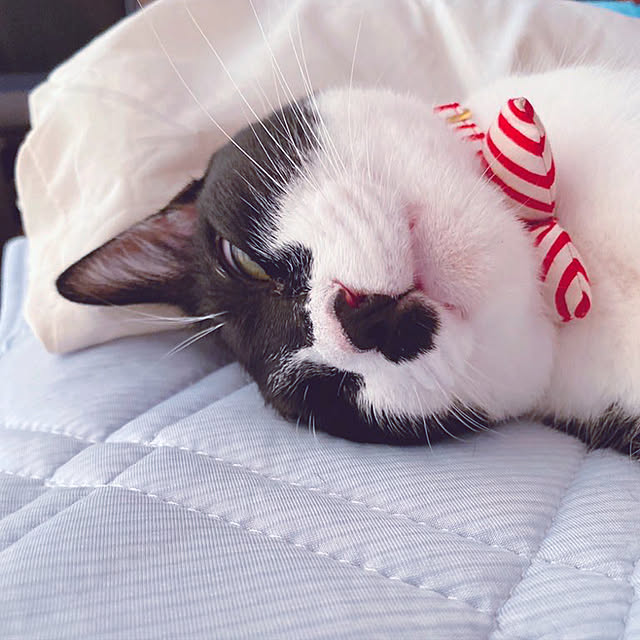 moolさんの実例写真