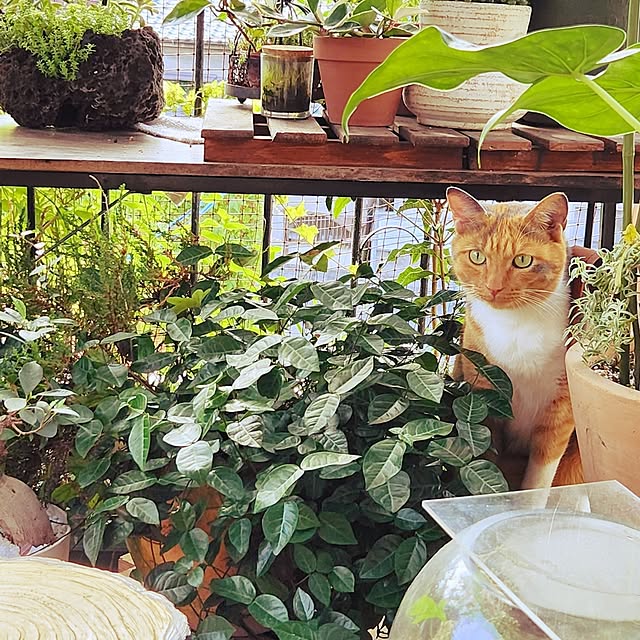mikamaiさんの部屋