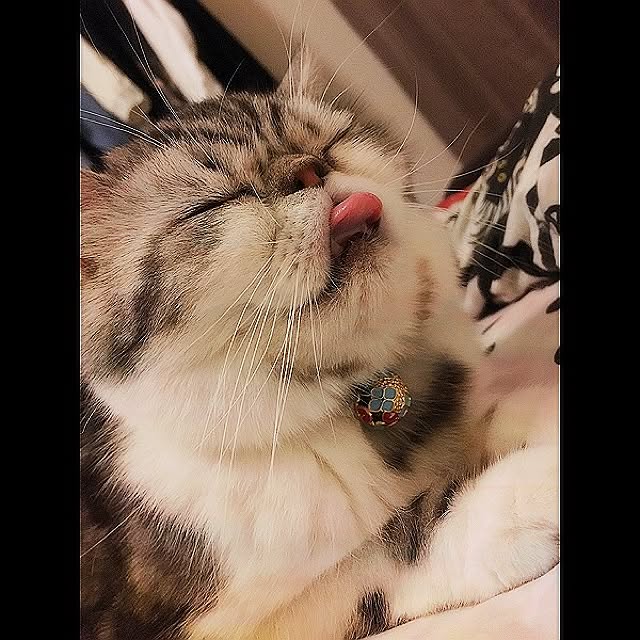 a_ko_a_koさんの実例写真