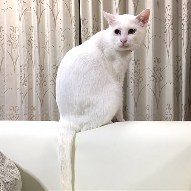 kana38さんの実例写真