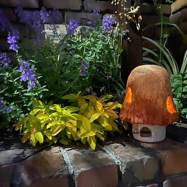 momo7679さんの実例写真