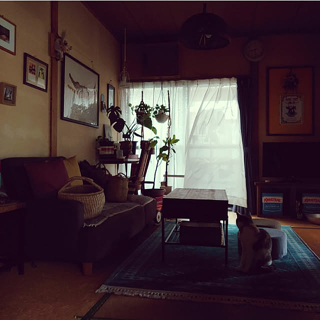 fukuさんの実例写真