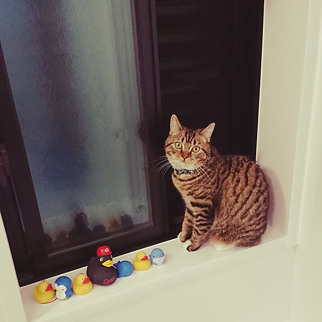 mochicoさんの実例写真