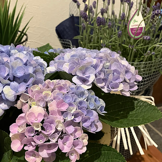 storyさんの実例写真