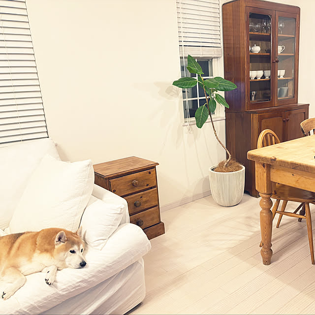 etsuneeさんの実例写真