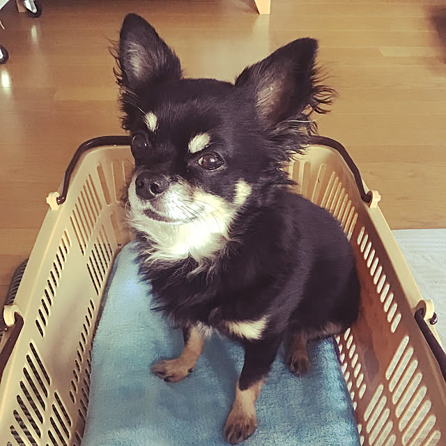sakuさんの実例写真