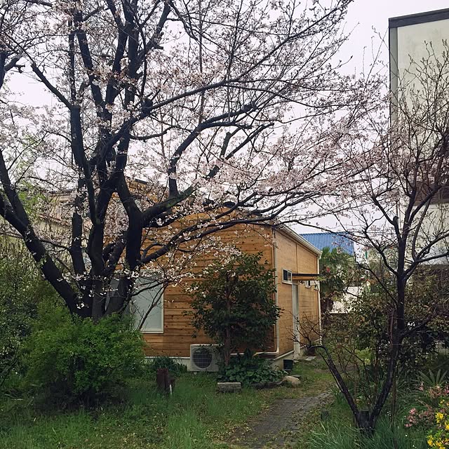 mohayaeteさんの実例写真