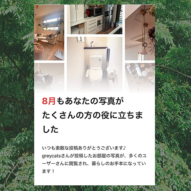greycatsさんの実例写真
