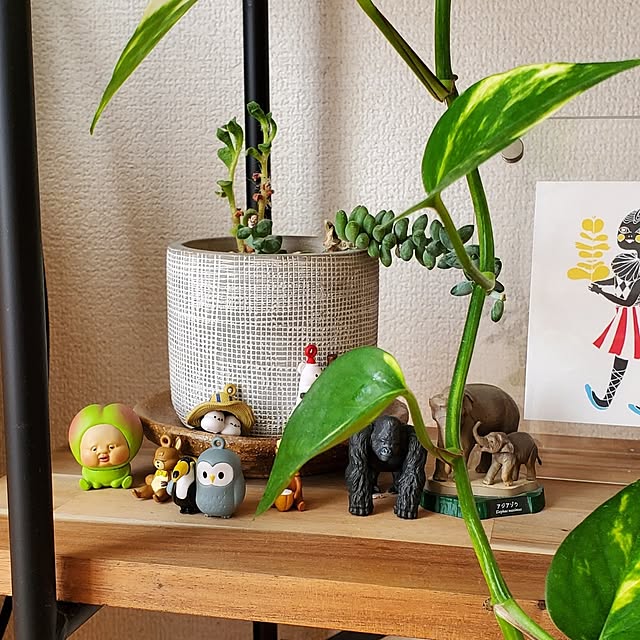 pomさんの部屋