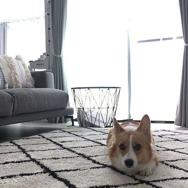 3ayuさんの実例写真