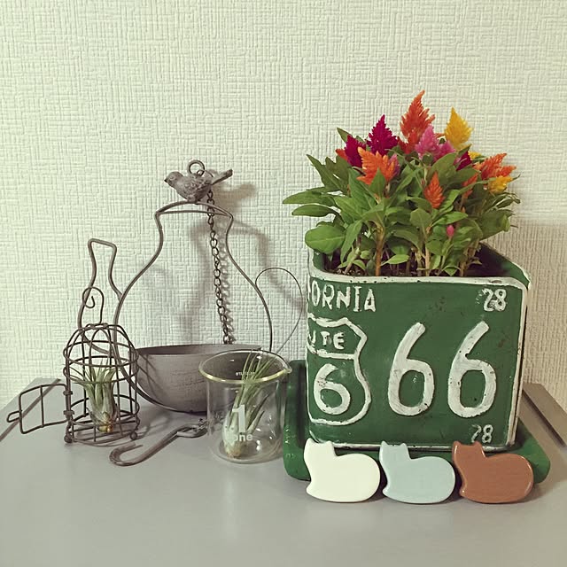 nekokoさんの実例写真