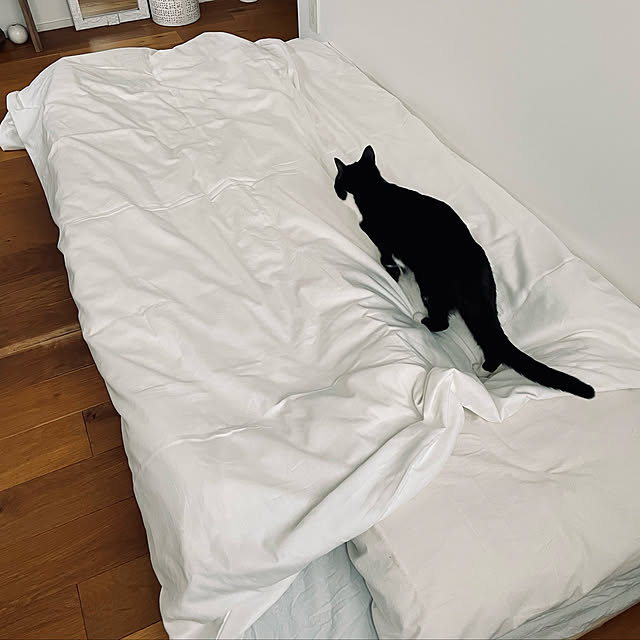Kaneyukiさんの実例写真