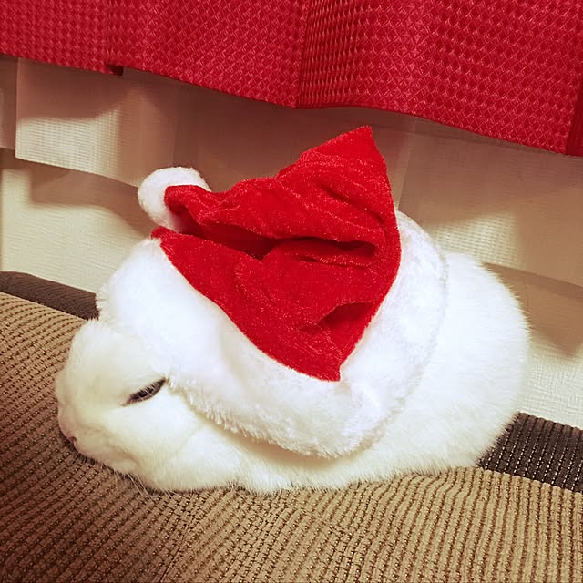 2boPさんの実例写真