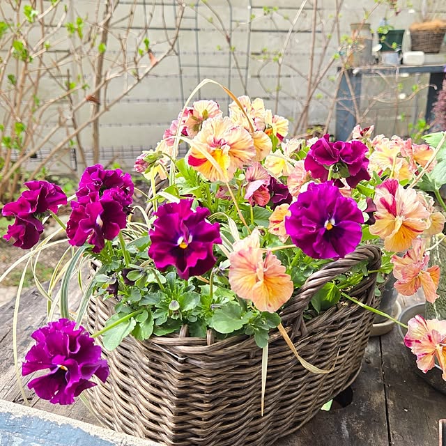 min_nimさんの部屋