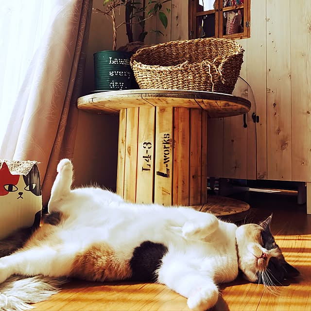 bambi_eyeさんの実例写真