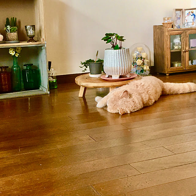 naokoさんの部屋
