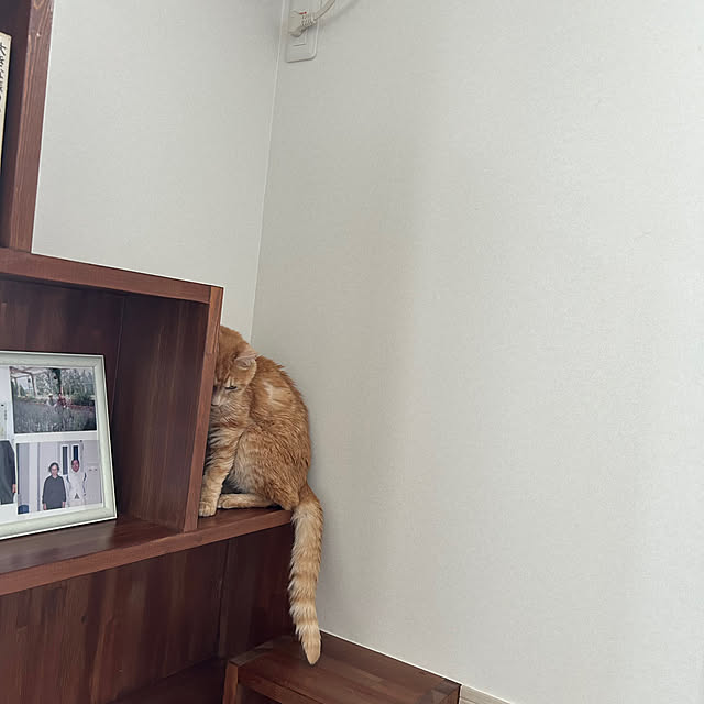 mikeume7さんの実例写真