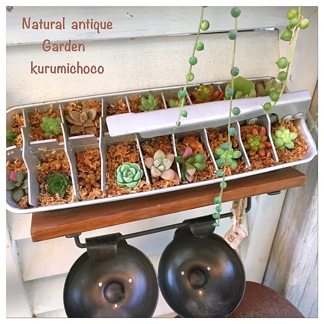 kurumichocoさんの実例写真