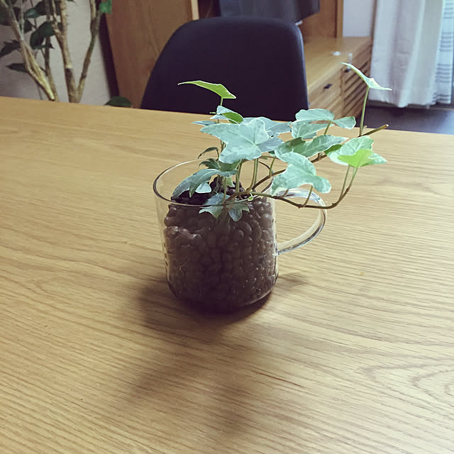 Minteaさんの実例写真