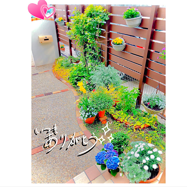 hinamamaさんの実例写真