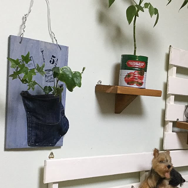 実例写真