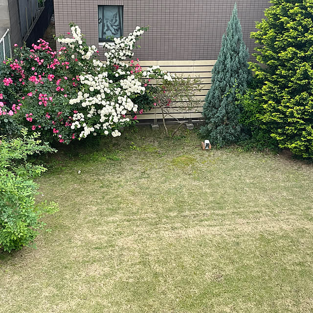 cheeさんの部屋