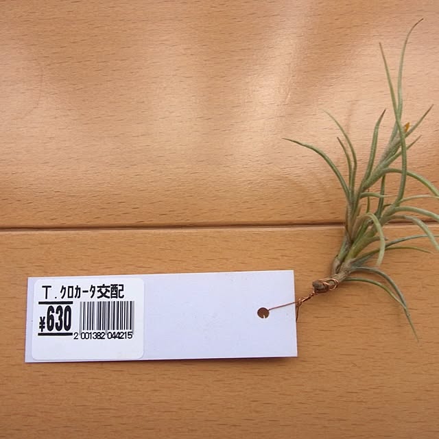 yandakoumutenさんの実例写真
