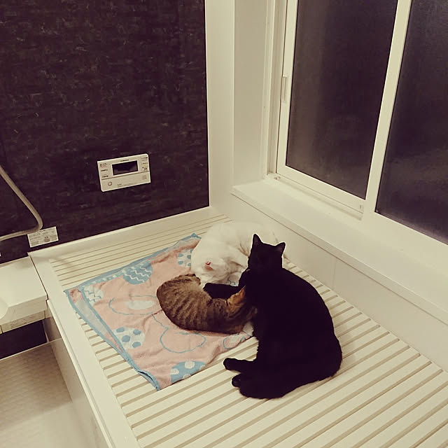 jijicoさんの実例写真