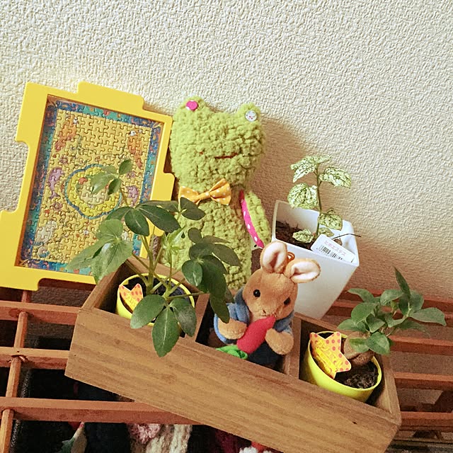 Riiinさんの実例写真